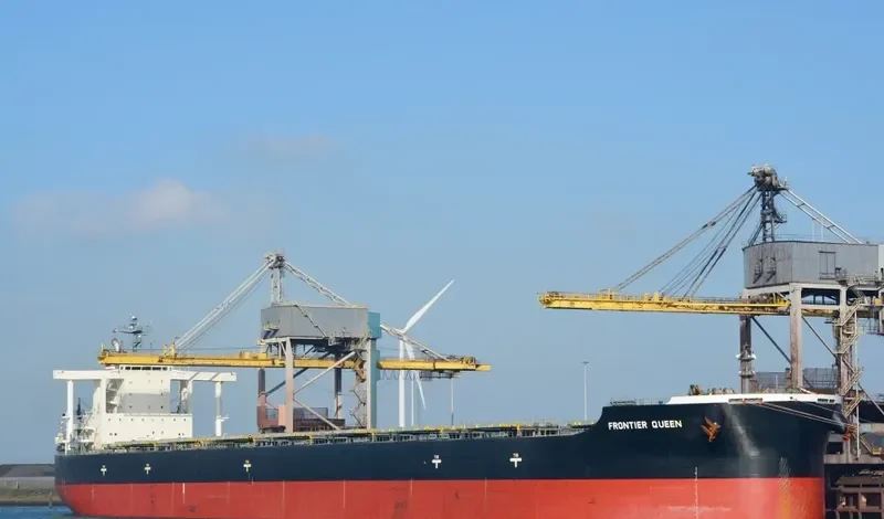CAPE SWAN Bulk Carrier IMO 9552381 photo 8