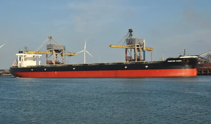 CAPE SWAN Bulk Carrier IMO 9552381 photo 9