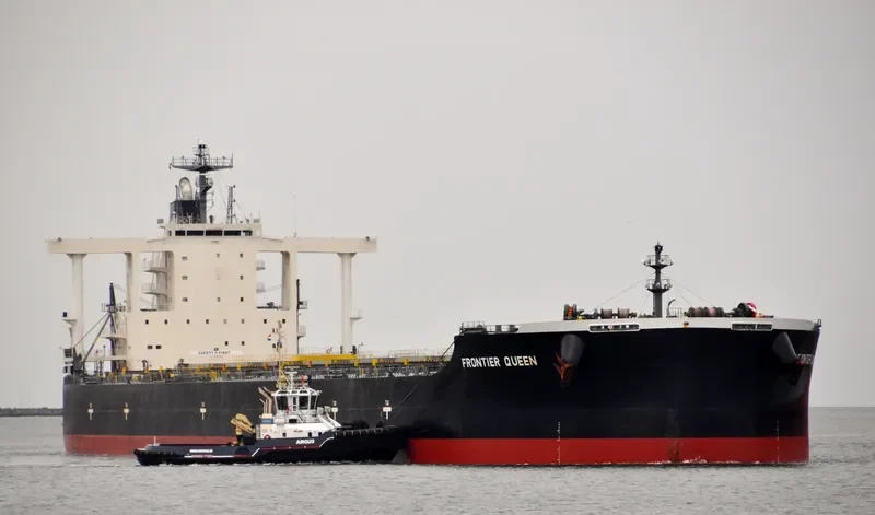 CAPE SWAN Bulk Carrier IMO 9552381 photo 10