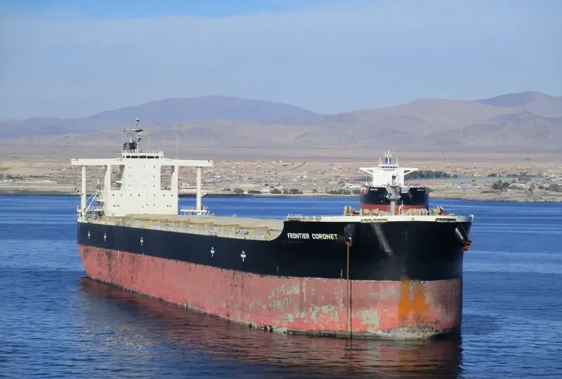 CORONET Bulk Carrier IMO 9552408 photo 3