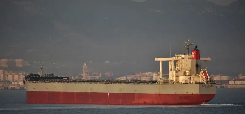 CAPE AMANDA Bulk Carrier IMO 9552410 photo 9