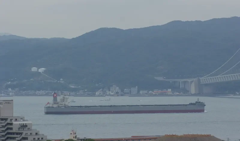 CAPE AMANDA Bulk Carrier IMO 9552410 photo 10