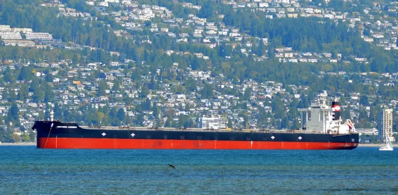 SOUTHERN HARMONY Bulk Carrier IMO 9552422 photo 6