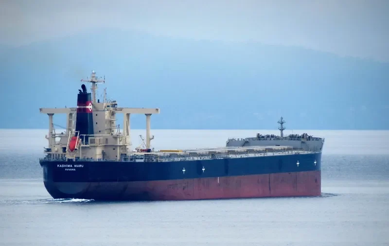 KASHIMA MARU Bulk Carrier IMO 9552434 photo 6
