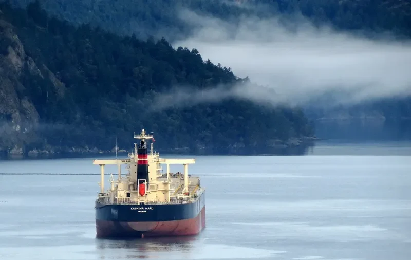 KASHIMA MARU Bulk Carrier IMO 9552434 photo 9