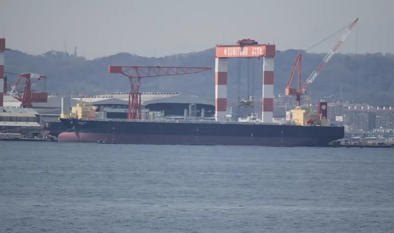 TAMANACO Tanker IMO 9552501 photo 2