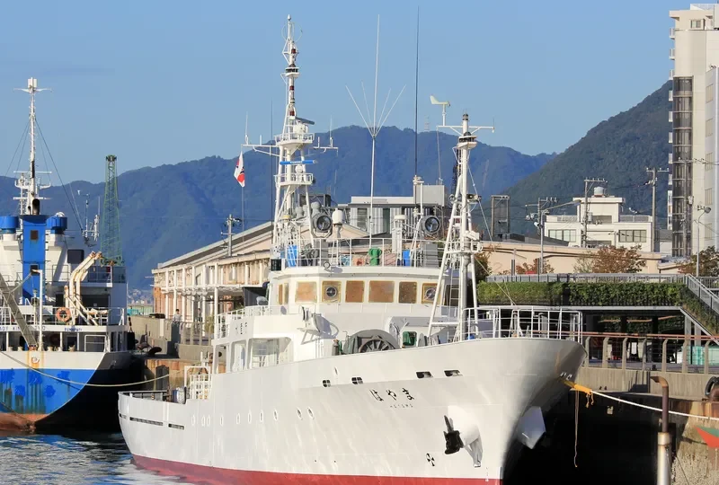 HAYAMA General Cargo IMO 9552513 photo 5