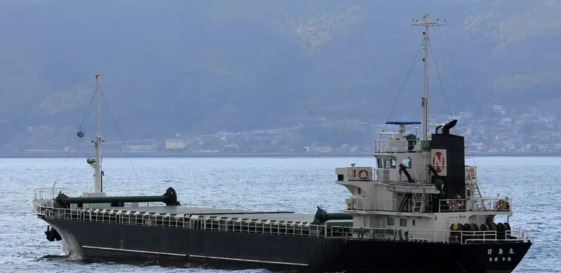 NICHIJIMA MARU General Cargo IMO 9552525 photo 4