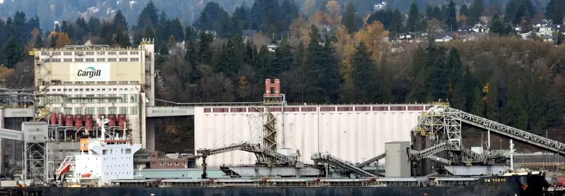 FIDELITY Bulk Carrier IMO 9552812