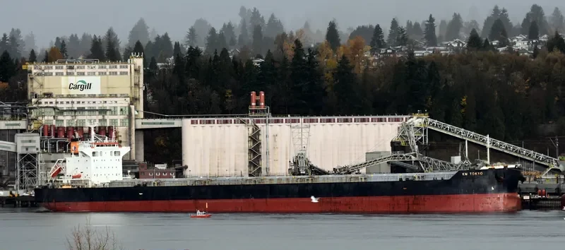 FIDELITY Bulk Carrier IMO 9552812 photo 4
