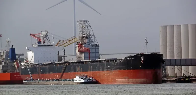 ALLIANCE Bulk Carrier IMO 9552824