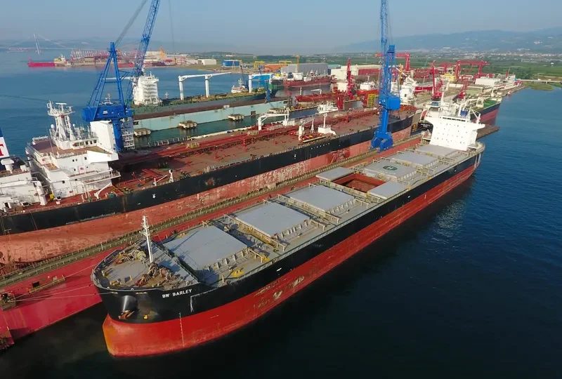ALLIANCE Bulk Carrier IMO 9552824 photo 3