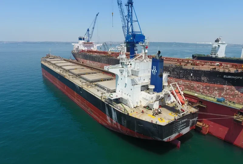 ALLIANCE Bulk Carrier IMO 9552824 photo 6
