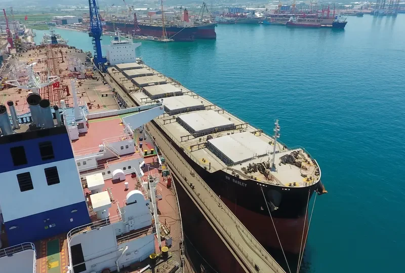 ALLIANCE Bulk Carrier IMO 9552824 photo 7