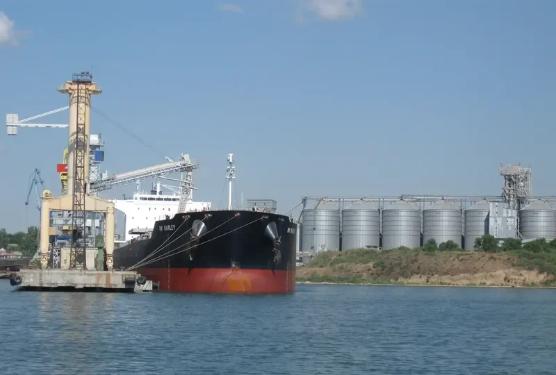 ALLIANCE Bulk Carrier IMO 9552824 photo 8