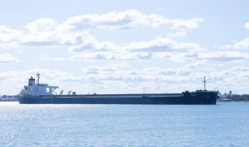 SOYO Bulk Carrier IMO 9552848 photo 4