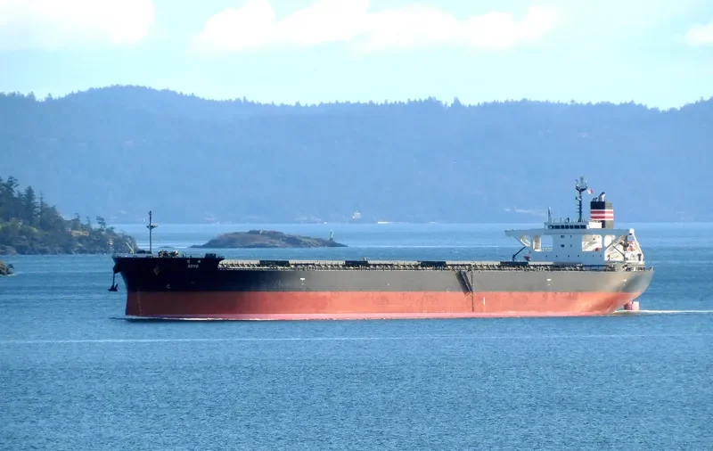 SOYO Bulk Carrier IMO 9552848 photo 10