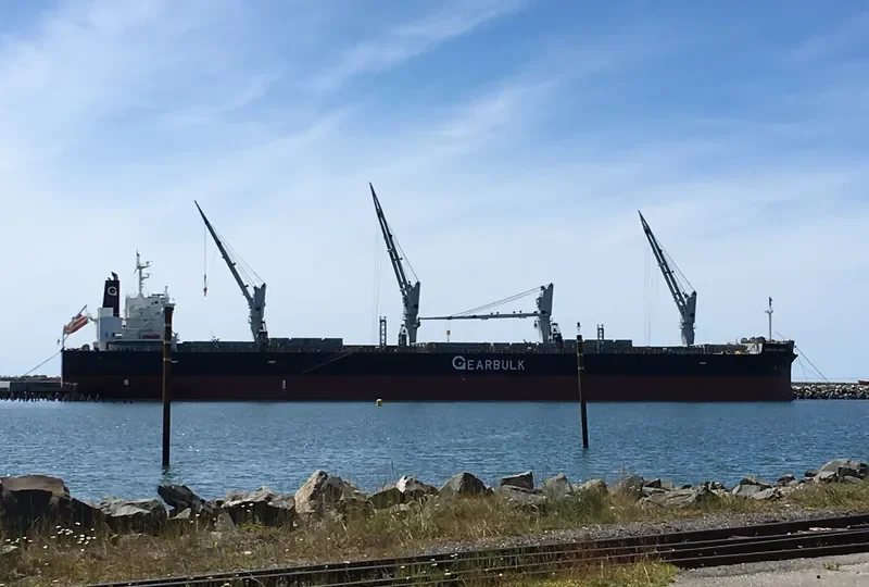 CONDOR ARROW Bulk Carrier IMO 9552886