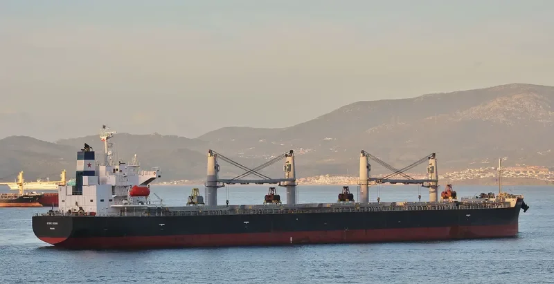 STOVE OCEAN Bulk Carrier IMO 9552953