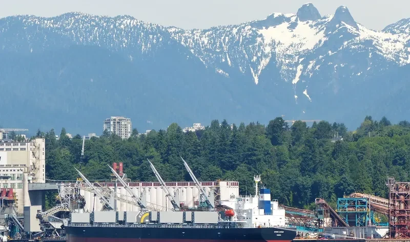STOVE OCEAN Bulk Carrier IMO 9552953 photo 8