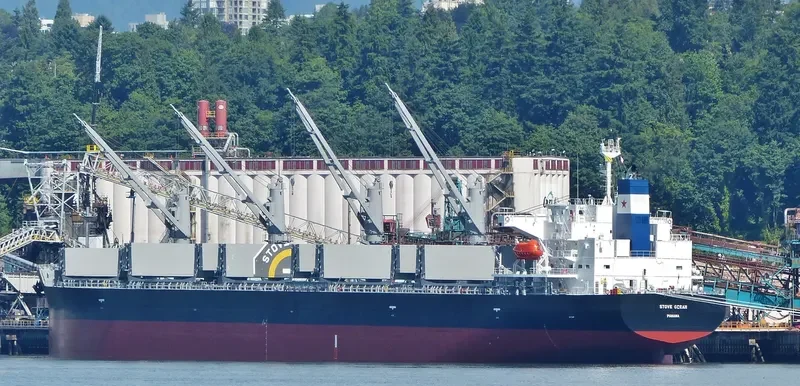 STOVE OCEAN Bulk Carrier IMO 9552953 photo 9
