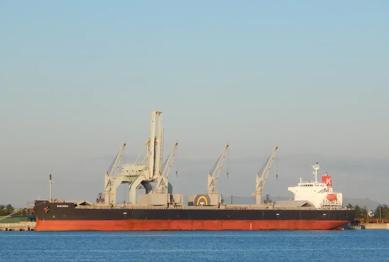 SIMURGH Bulk Carrier IMO 9552965