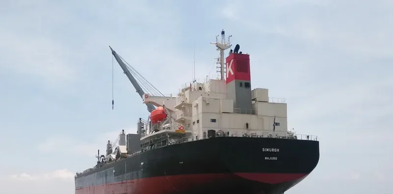 SIMURGH Bulk Carrier IMO 9552965 photo 3