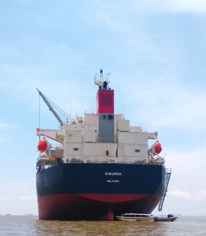 SIMURGH Bulk Carrier IMO 9552965 photo 4