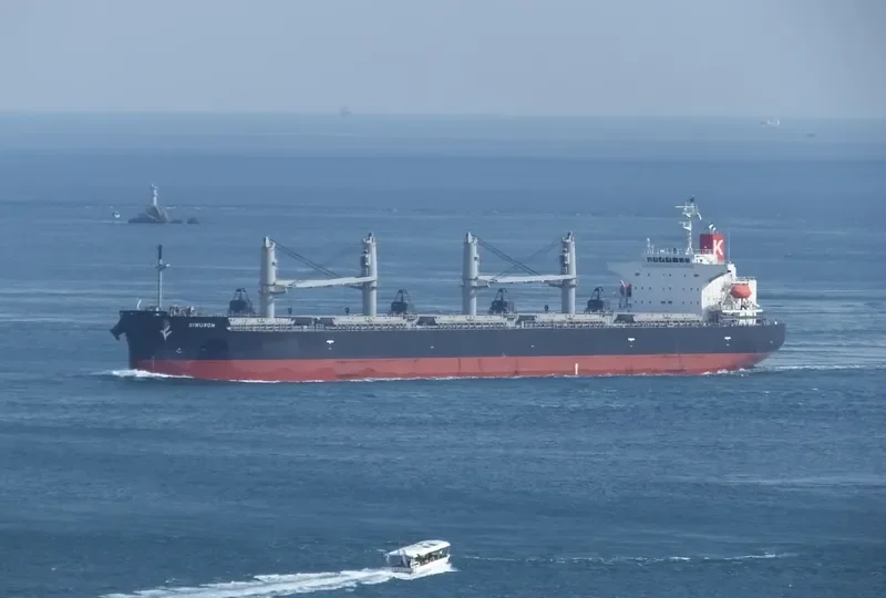 SIMURGH Bulk Carrier IMO 9552965 photo 8