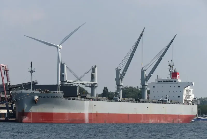 BELLINA COLOSSUS Bulk Carrier IMO 9552977 photo 2