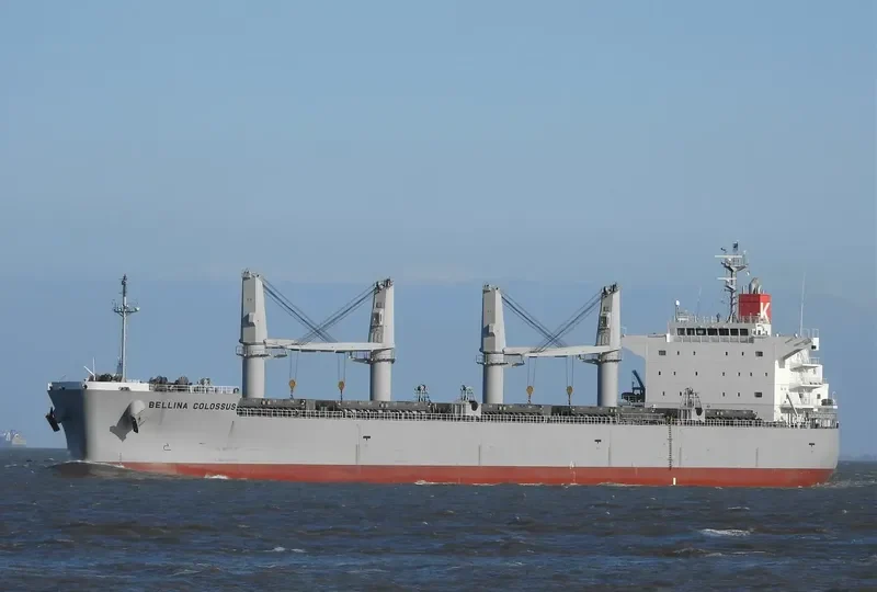 BELLINA COLOSSUS Bulk Carrier IMO 9552977 photo 3