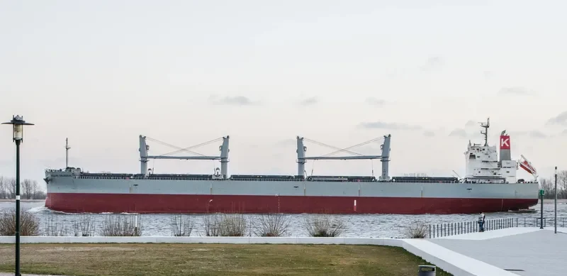 BELLINA COLOSSUS Bulk Carrier IMO 9552977 photo 4