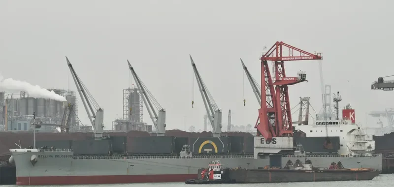 BELLINA COLOSSUS Bulk Carrier IMO 9552977 photo 5