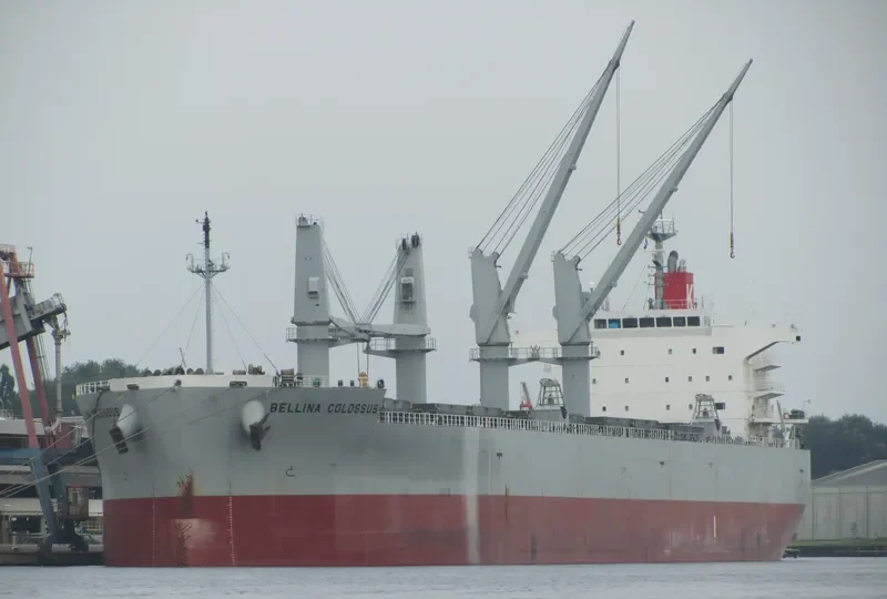 BELLINA COLOSSUS Bulk Carrier IMO 9552977 photo 8