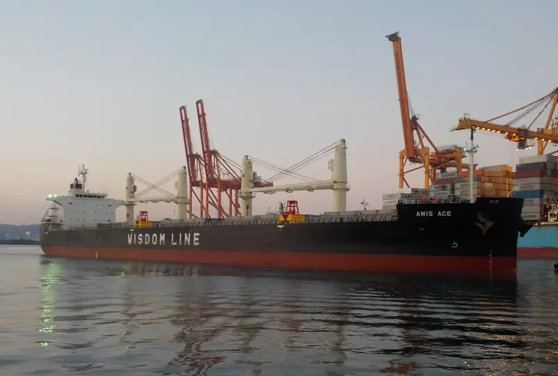 AMIS ACE Bulk Carrier IMO 9552989 photo 3