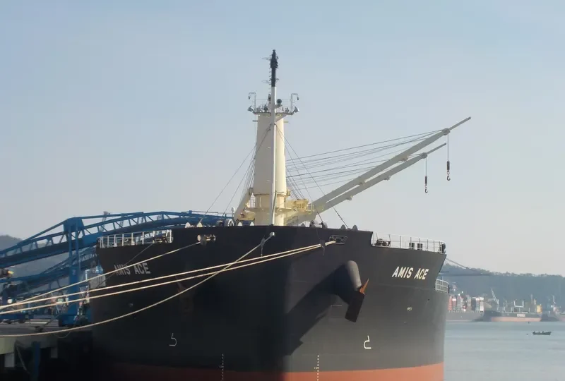 AMIS ACE Bulk Carrier IMO 9552989 photo 5