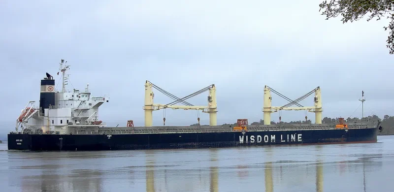 AMIS ACE Bulk Carrier IMO 9552989 photo 6