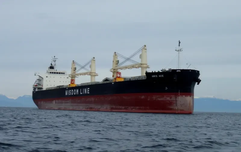 AMIS ACE Bulk Carrier IMO 9552989 photo 8
