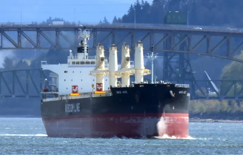 AMIS ACE Bulk Carrier IMO 9552989 photo 9