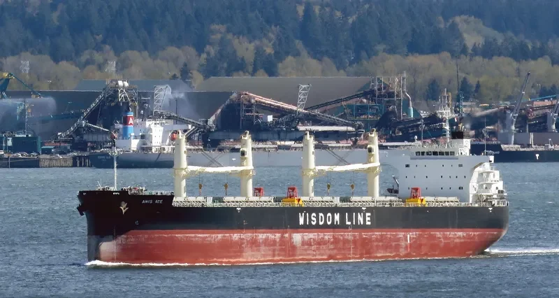 AMIS ACE Bulk Carrier IMO 9552989 photo 10