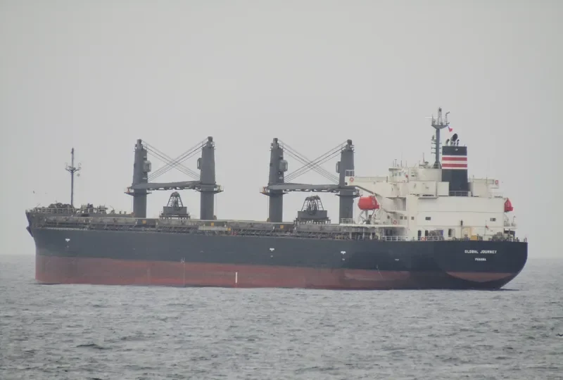 GLOBAL JOURNEY Bulk Carrier IMO 9553000 photo 2