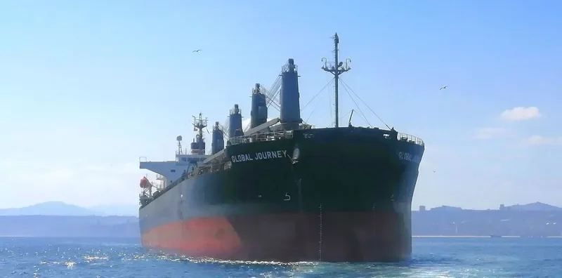 GLOBAL JOURNEY Bulk Carrier IMO 9553000 photo 5