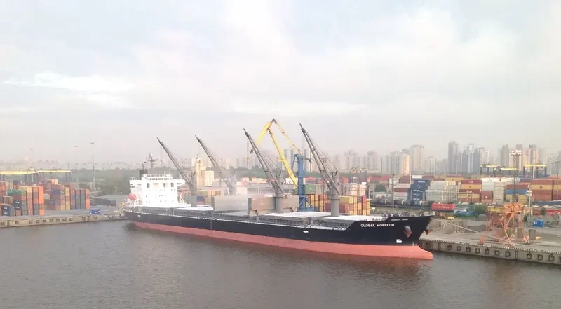 OCEAN SPRING Bulk Carrier IMO 9553012 photo 8