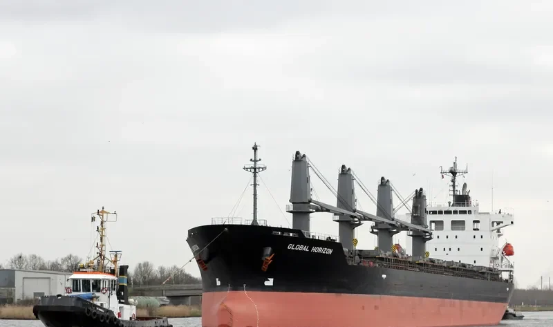OCEAN SPRING Bulk Carrier IMO 9553012 photo 9