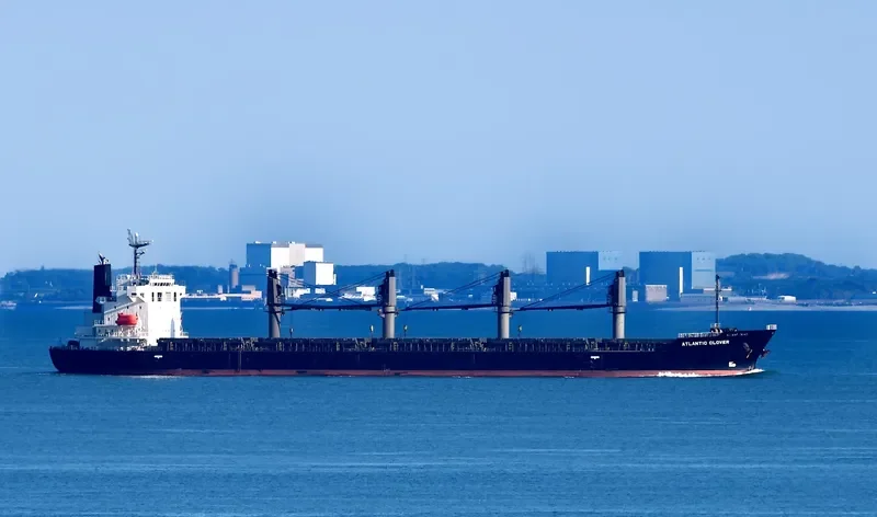 ATLANTIC CLOVER Bulk Carrier IMO 9553024 photo 5