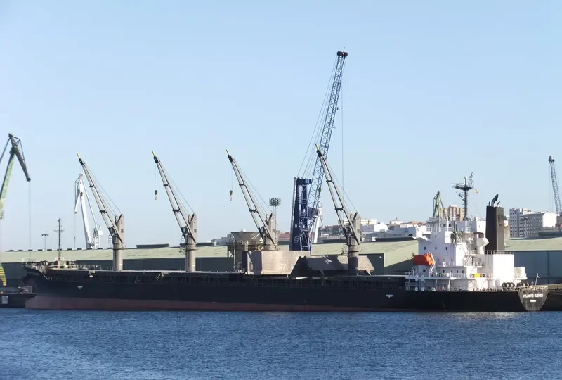 ATLANTIC CLOVER Bulk Carrier IMO 9553024 photo 8