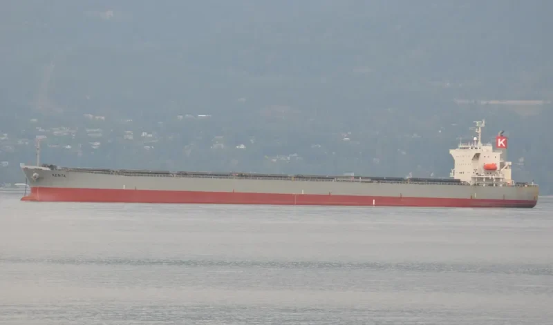 KENTA Bulk Carrier IMO 9553050 photo 3