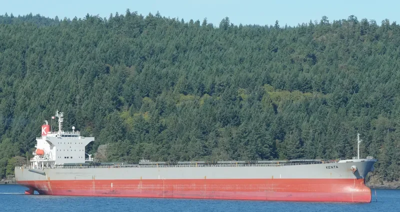 KENTA Bulk Carrier IMO 9553050 photo 4