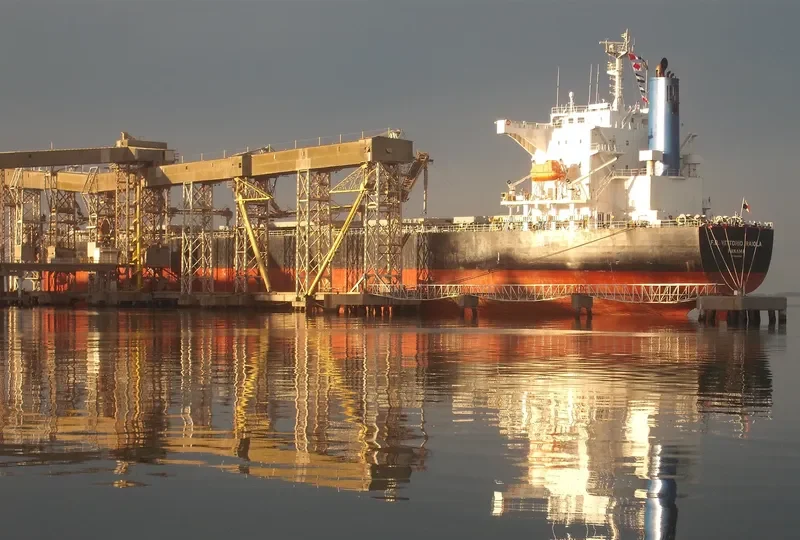 MAGIC HORIZON Bulk Carrier IMO 9553062