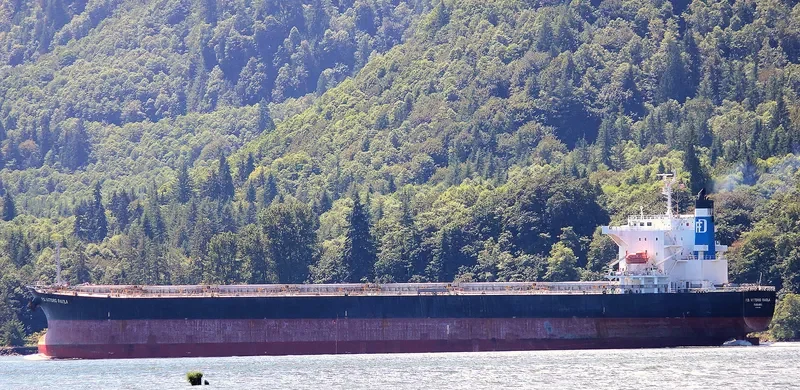 MAGIC HORIZON Bulk Carrier IMO 9553062 photo 2